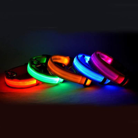 LED Safety Dog Collar for Night Walks  | Adjustable & Rechargeable
